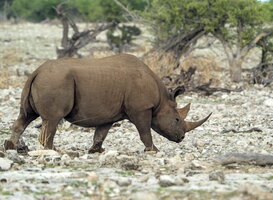 03 - Namibia Otavi-Dreieck